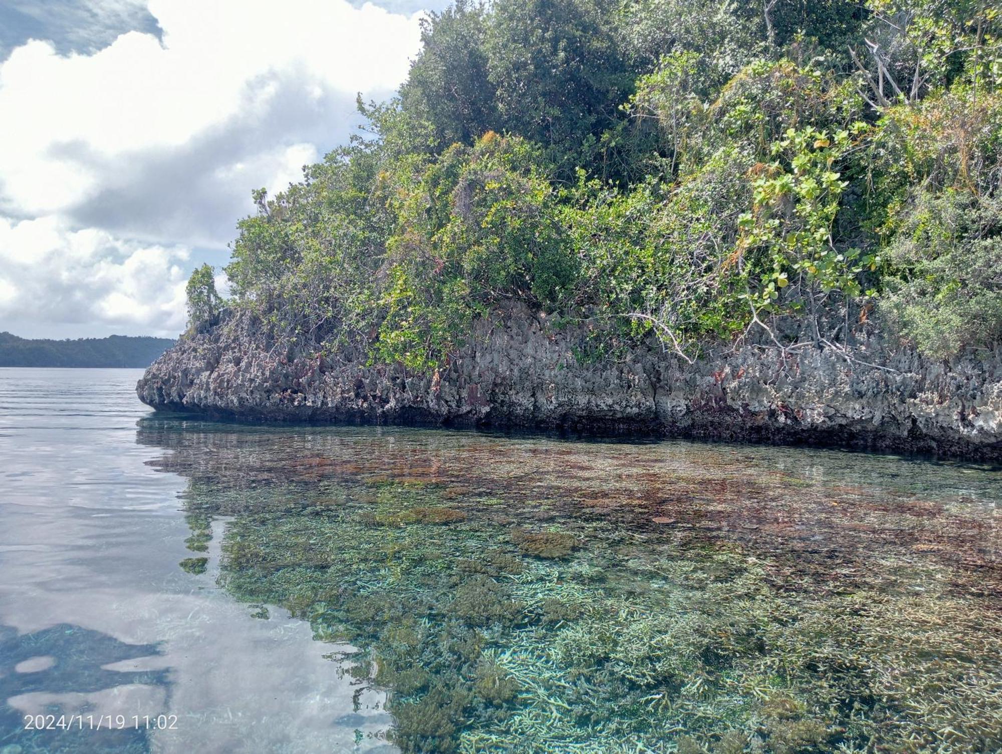 Coco Huts Guest House Waisai Esterno foto